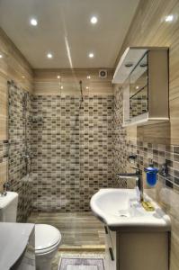 蒂瓦特Apartments Banicevic的一间带水槽、卫生间和淋浴的浴室