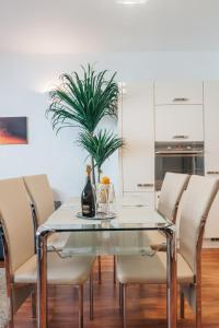 布尔诺Nobless Apartment Brno的玻璃餐桌、椅子和植物