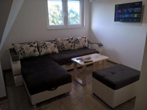 索科矿泉村Apartmani Mimi的客厅配有沙发和桌子