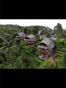 Plaga巴厘岛生态度假村酒店的山丘上树木丛生的房屋