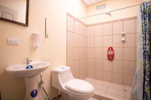 阿拉胡埃拉Flor de Katty Hostel Airport的一间带水槽、卫生间和淋浴的浴室