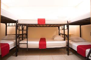 阿拉胡埃拉Flor de Katty Hostel Airport的白色和红色色调的客房内的两张双层床