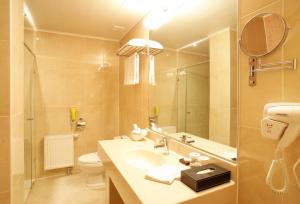 乌兰巴托Sunjin Grand Hotel的一间带水槽、卫生间和镜子的浴室