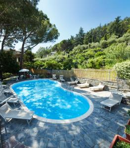 蒙特罗索阿尔马雷阿德利亚纳别墅酒店的一个带椅子的大型游泳池和一个庭院