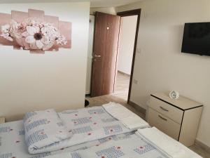 贝罗沃Diva Kompani Rooms的一间卧室配有带枕头的床铺和电视。