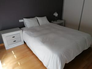 Apartamento Serreria de Boltaña客房内的一张或多张床位