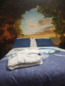 维迪盖拉Moonlight的一张带毛巾和绘画的床