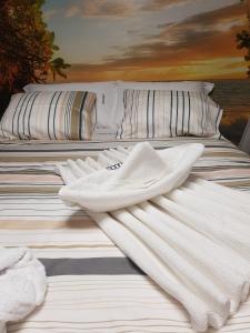 维迪盖拉Moonlight的床上有两条白色毛巾