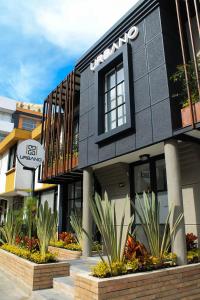 帕斯托Urbano Luxury Hotel的前面有植物的黑色建筑