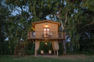 拉加纳斯River TreeHouse的树屋,有甲板和梯子