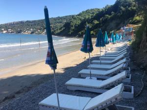 乌尔齐尼Casa Mila apartments & bungalows的海滩上一排带遮阳伞的躺椅
