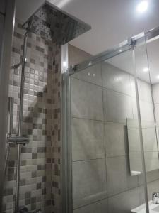宏达瑞比亚Piso con encanto en la parte vieja.的浴室里设有玻璃门淋浴