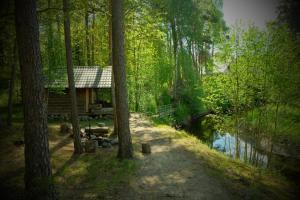 PadiseKallaste Talu- Turismitalu & Holiday Resort的池塘旁树林中的小木屋