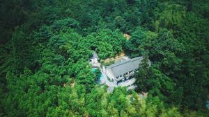 德清柒竹·悠南山的森林中间房屋的空中景观