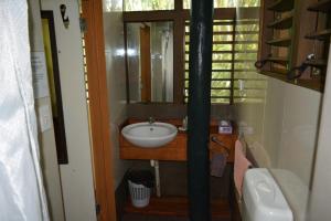 苏瓦Rainforest Eco Lodge的一间带水槽和卫生间的小浴室