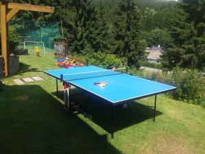 小莫拉夫卡Chata U Vlastíka的院子里的一张蓝色乒乓球桌