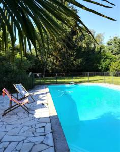 MorlaasLe Clos Sainte Foy的一个带椅子和棕榈树的蓝色游泳池