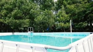 乌雷基Laguna Hotel的一座拥有蓝色海水和树木的大型游泳池