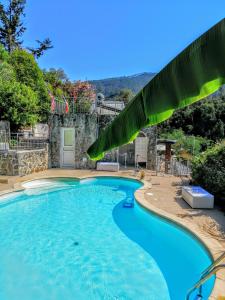 莱万托Costa Morroni的庭院里的一个蓝色海水游泳池
