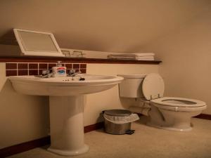 威廉堡提斯特尔小屋酒店的一间带水槽和卫生间的浴室