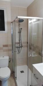 多列毛利诺斯Calle Rio Trueba 11 Bajo D的带淋浴、卫生间和盥洗盆的浴室