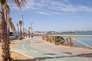 巴尔巴特MRZ Rentals Barbate Playa的海滩旁的一条人行道,种植了棕榈树