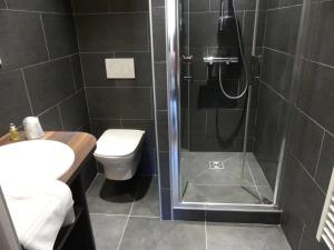 阿雷什维勒特酒店的带淋浴、卫生间和盥洗盆的浴室