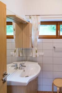 NötschGartenlodge Auszeit的一间带水槽和镜子的浴室
