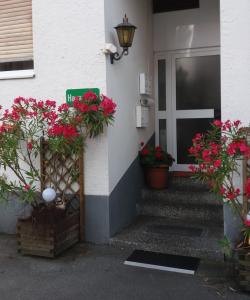 布雷根茨Haus Edith Privathaus mit Gästezimmern的鲜花屋的前门