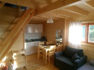 JunoszynoNowe Domki Pod Lipami的小木屋内的客厅和厨房