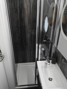 鲁恰内尼达Apartament Na Wodzie的浴室配有盥洗盆和带镜子的淋浴