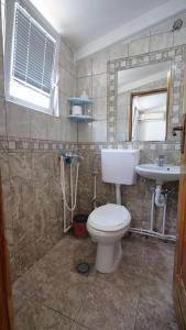 乌尔齐尼Familien Apartment Zeno的一间带卫生间和水槽的浴室