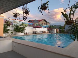 莫阿尔博阿Adams View Hotel的一座大游泳池