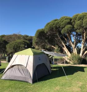 EatonBIG4 Bunbury Riverside Holiday Park的树下的田野帐篷