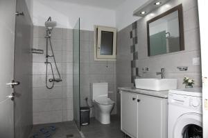 希伊Romanos Xi的浴室配有卫生间、盥洗盆和淋浴。