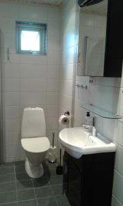 TrÃ¤slÃ¶vslÃ¤geStuga i Gamla-köpstad的一间带卫生间和水槽的浴室