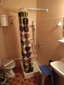 加拉塔斯Bissias Guest House的带淋浴、卫生间和盥洗盆的浴室
