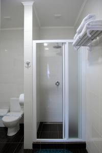 尼古拉耶夫Міні-готель Пекін的带淋浴和卫生间的浴室