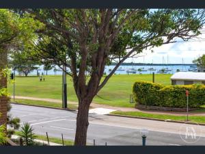 麦夸里港Play@PortMacq的公园附近街道边的树
