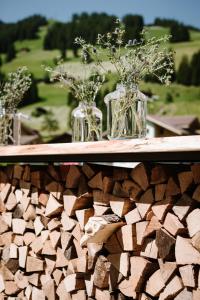 阿德尔博登Wildstrubel Lodge的木桌上三个花瓶