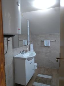 Ličko Petrovo SeloApartman NINA的白色的浴室设有水槽和镜子