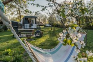 OnstweddePipowagen Elsebein Groningen Westerwolde unieke ligging met eigen tuin en vrij uitzicht over veld naar natuurgebied的庭院内的吊床,房子