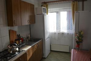 扎沃亚Zawojka的厨房配有冰箱、水槽和窗户。