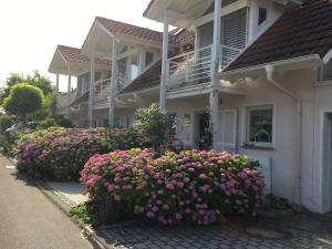 史塔卡赫Ferienwohnung Creutzig的前面有粉红色花的房子