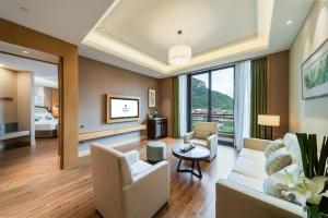 武夷山武夷山悦华酒店的客厅配有沙发、椅子和电视