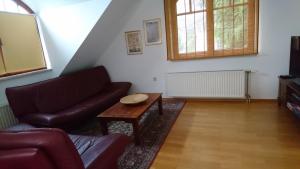 卢布尔雅那Apartma Dolomiti的客厅配有沙发和桌子