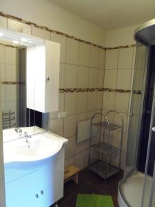 蓬高地区埃本希丽格特酒店的一间带水槽和淋浴的浴室