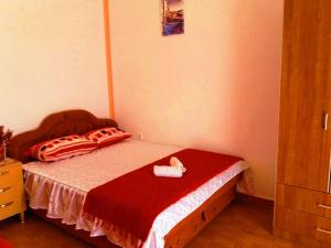 伊加洛Apartments Sun Igalo Montenegro的一间小卧室,配有一张带红色毯子的床