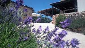 Lavender Hill Hvar Villa - pool, jacuzzi,sauna,BBQ外面的花园