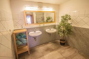 洛伊查赫Landhaus Pößnitz的浴室设有两个水槽、镜子和植物